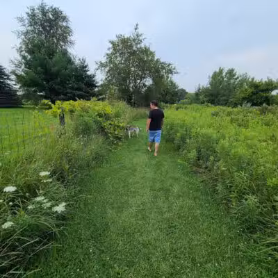 EZDogPark - Howell, MI