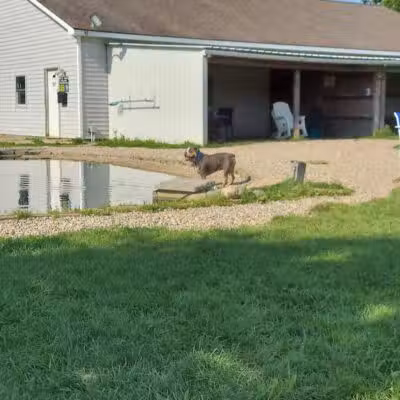 EZDogPark - Howell, MI