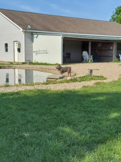 EZDogPark - Howell, MI