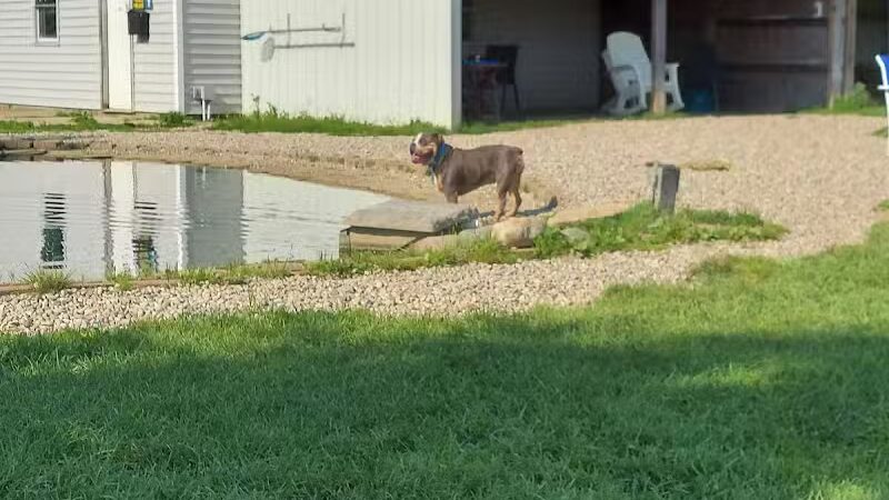 EZDogPark - Howell, MI