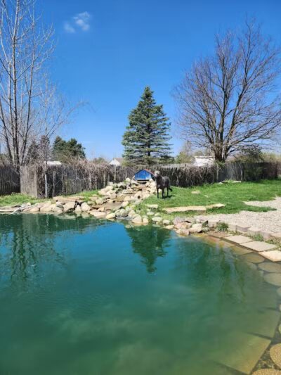 EZDogPark - Howell, MI