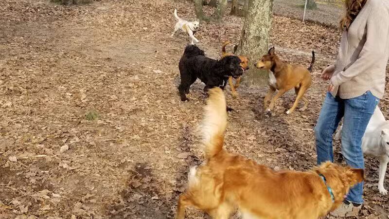Bark Park Off Leash Dog Park - Howell Township,