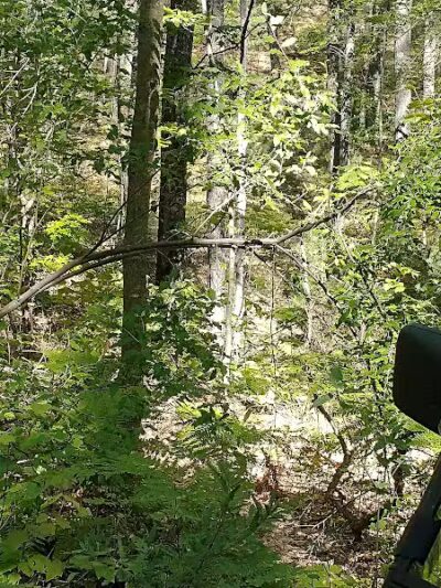 Hubbard Lake Nature Preserve - Hubbard Lake, MI