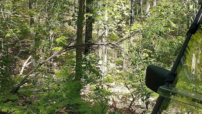 Hubbard Lake Nature Preserve - Hubbard Lake, MI