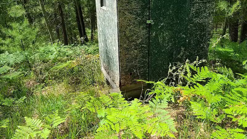 Hubbard Lake Nature Preserve - Hubbard Lake, MI