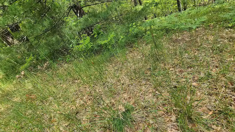 Hubbard Lake Nature Preserve - Hubbard Lake, MI