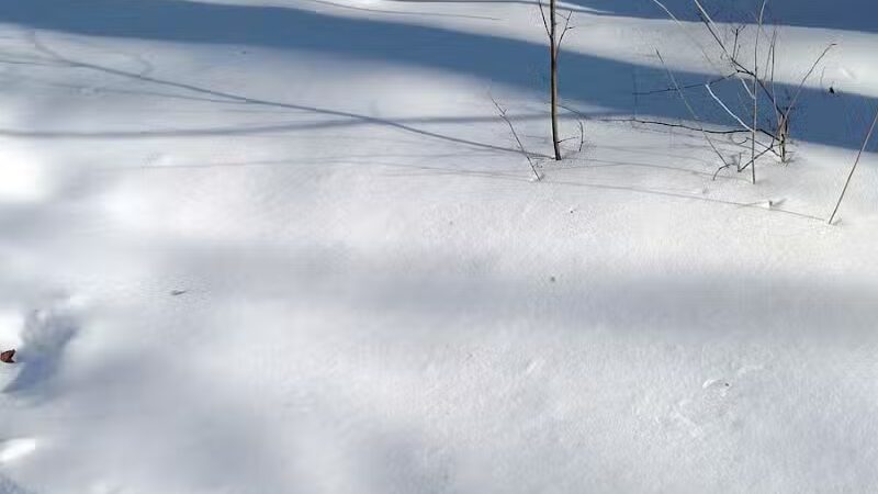 Hubbard Lake Nature Preserve - Hubbard Lake, MI