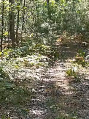 Hubbard Lake Nature Preserve - Hubbard Lake, MI