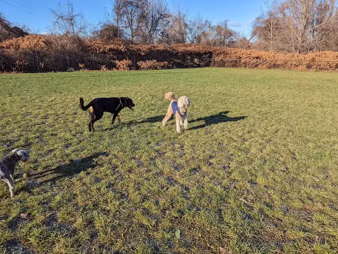 Hudson Dog Park - Hudson,