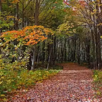 Hudsonville Nature Center - Hudsonville,