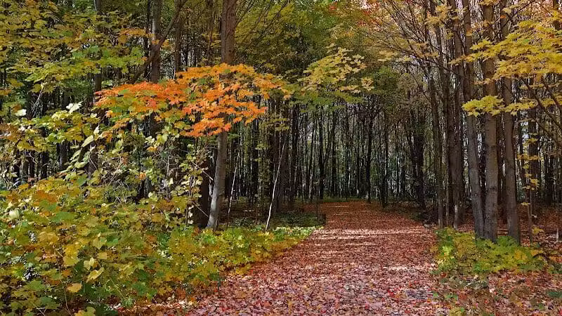 Hudsonville Nature Center - Hudsonville,
