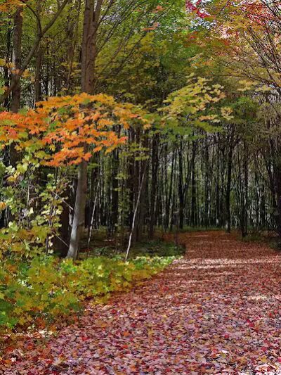 Hudsonville Nature Center - Hudsonville,