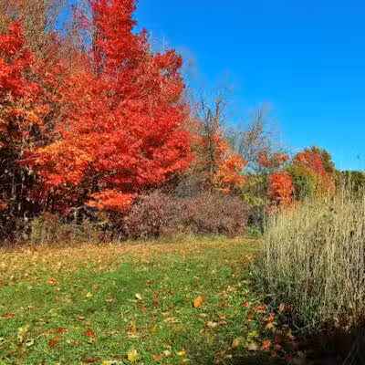 Hudsonville Nature Center - Hudsonville,