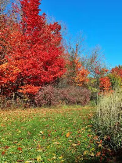 Hudsonville Nature Center - Hudsonville,