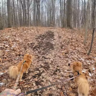 Hudsonville Nature Center - Hudsonville,