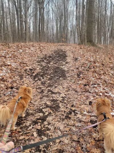Hudsonville Nature Center - Hudsonville,