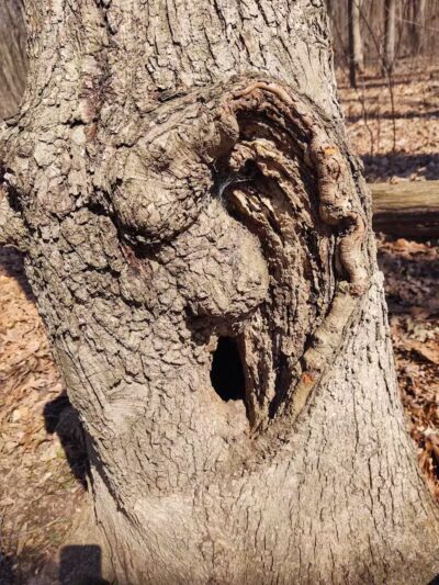 Hudsonville Nature Center - Hudsonville,