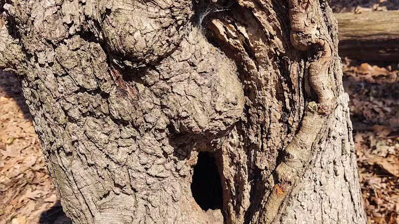 Hudsonville Nature Center - Hudsonville,