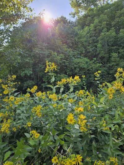 Hudsonville Nature Center - Hudsonville,
