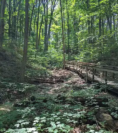 Hudsonville Nature Center - Hudsonville,