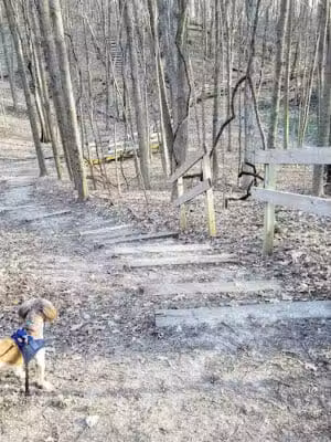 Hudsonville Nature Center - Hudsonville,