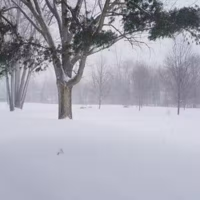 Sunrise Park - Hudsonville,