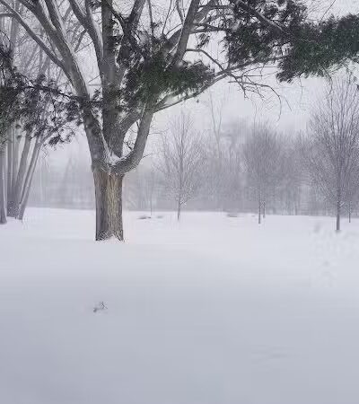 Sunrise Park - Hudsonville,