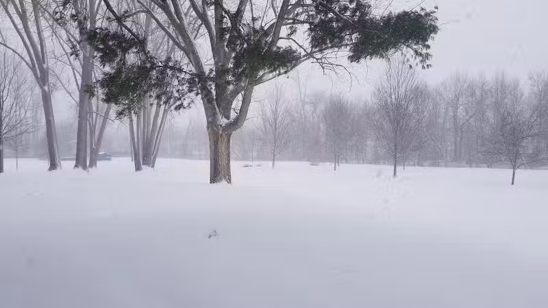 Sunrise Park - Hudsonville,