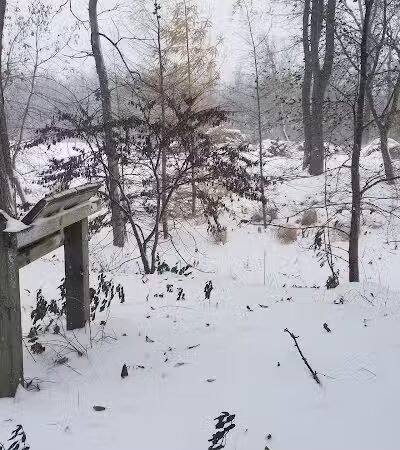 Sunrise Park - Hudsonville,