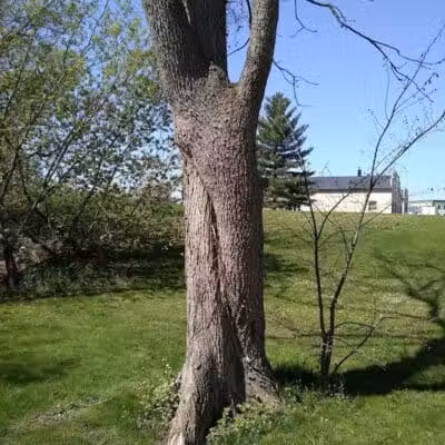 Veterans Park - Hudsonville,