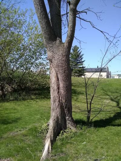 Veterans Park - Hudsonville,