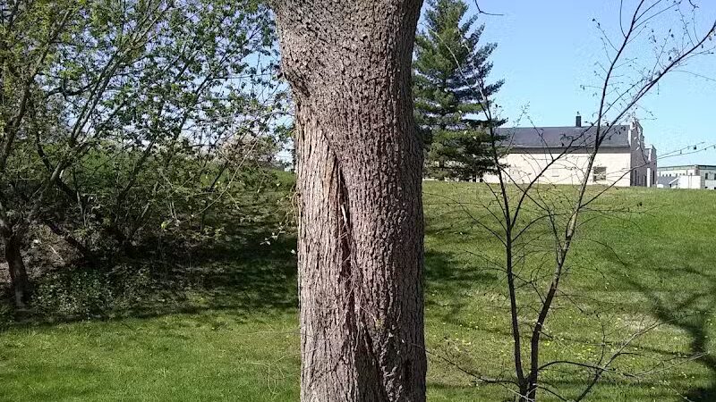 Veterans Park - Hudsonville,