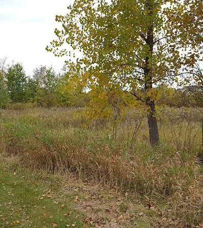 Beaver Ponds Park - Hugo, MN