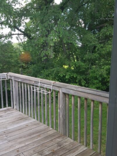 Frog Hollow Park - Hugo, MN