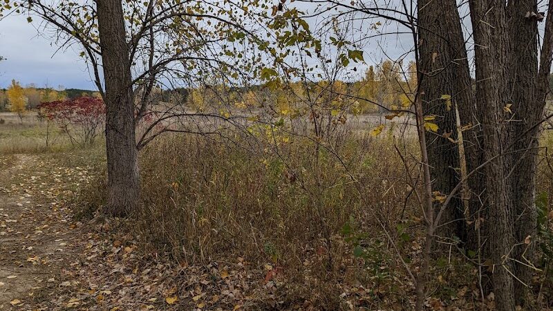 Future Irish Avenue Park - Hugo, MN