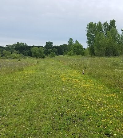 Future Irish Avenue Park - Hugo, MN