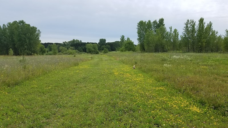 Future Irish Avenue Park - Hugo, MN