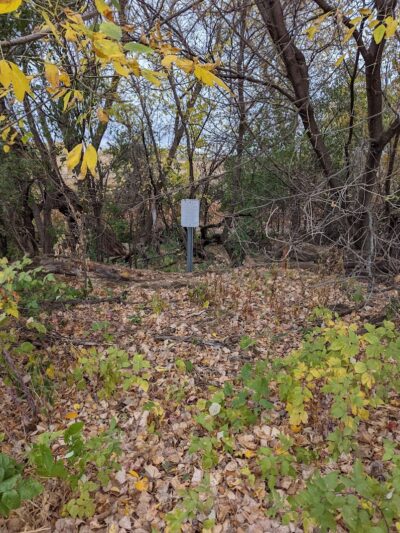 Future Irish Avenue Park - Hugo, MN
