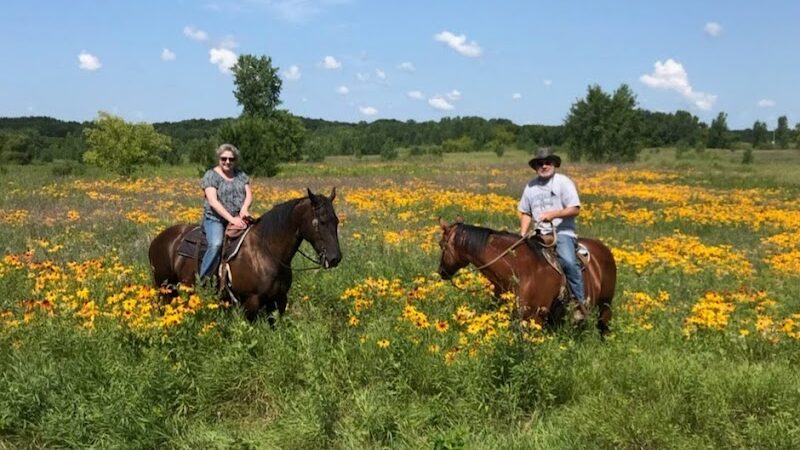 Future Irish Avenue Park - Hugo, MN