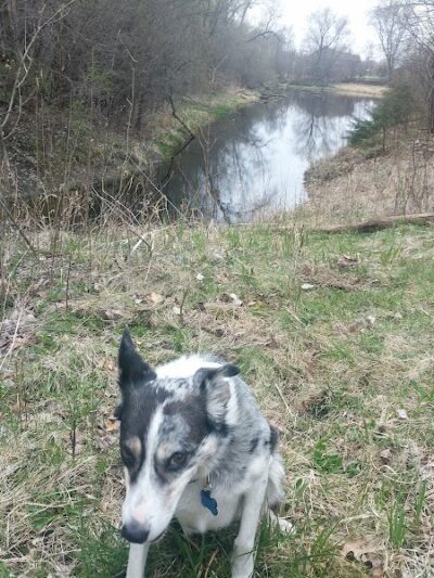 McCollar Park - Hugo, MN