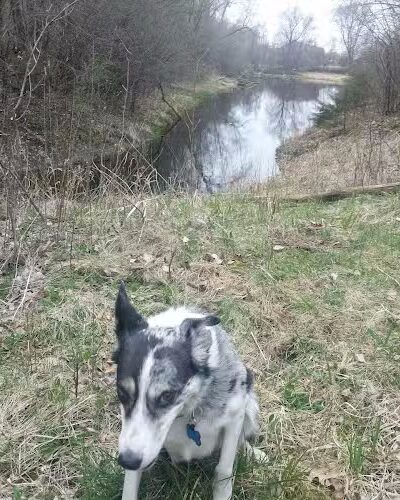 McCollar Park - Hugo, MN