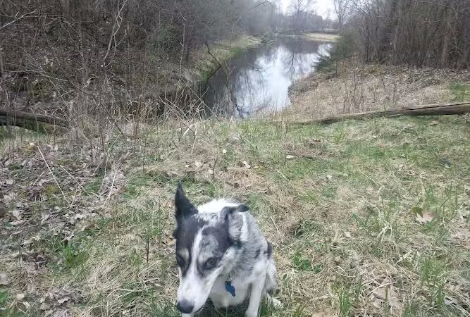 McCollar Park - Hugo, MN