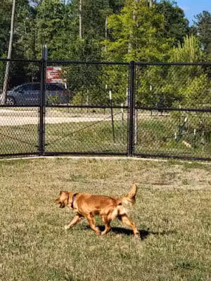 Walden Dog Park and Walking Trail - Humble, TX