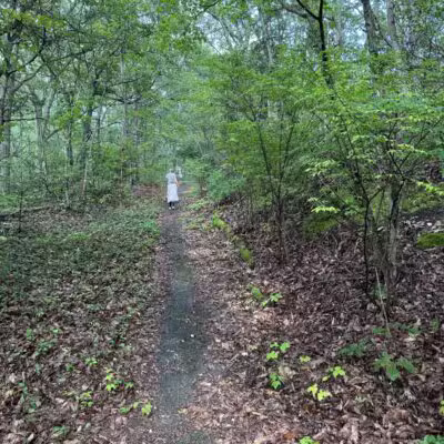 Berkeley Jackson County Park - Huntington, NY