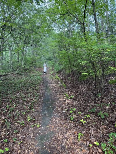 Berkeley Jackson County Park - Huntington, NY