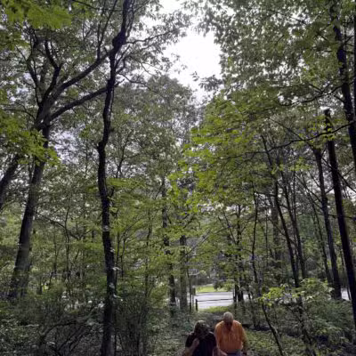 Berkeley Jackson County Park - Huntington, NY