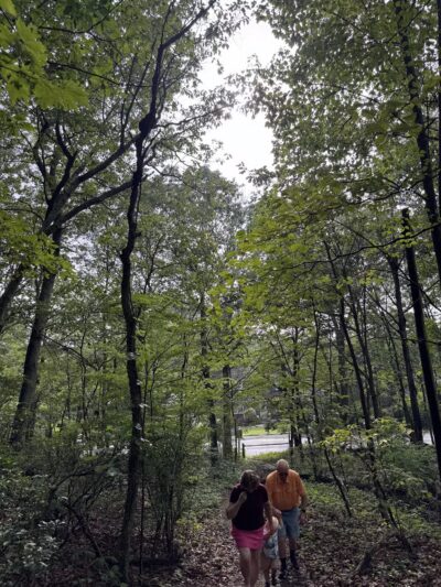 Berkeley Jackson County Park - Huntington, NY