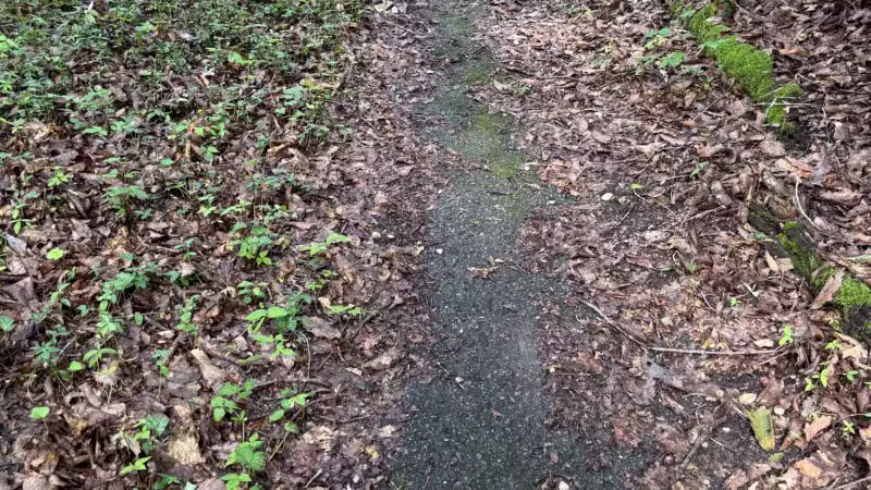 Berkeley Jackson County Park - Huntington, NY
