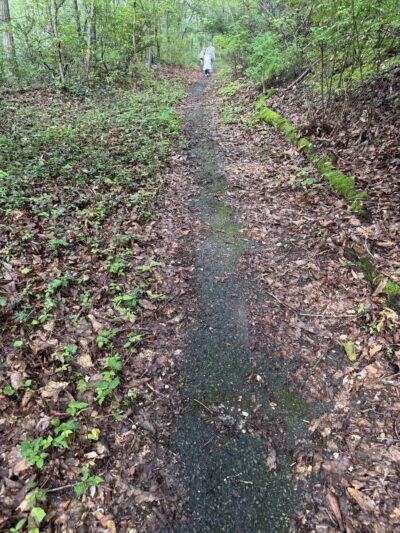 Berkeley Jackson County Park - Huntington, NY