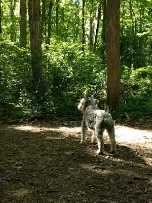 Berkeley Jackson County Park - Huntington, NY